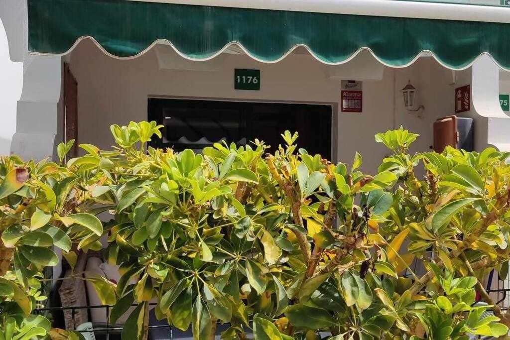 Raga Home - Bungalow With Swimming Pool In Maspalomas Μασπαλόμας Εξωτερικό φωτογραφία